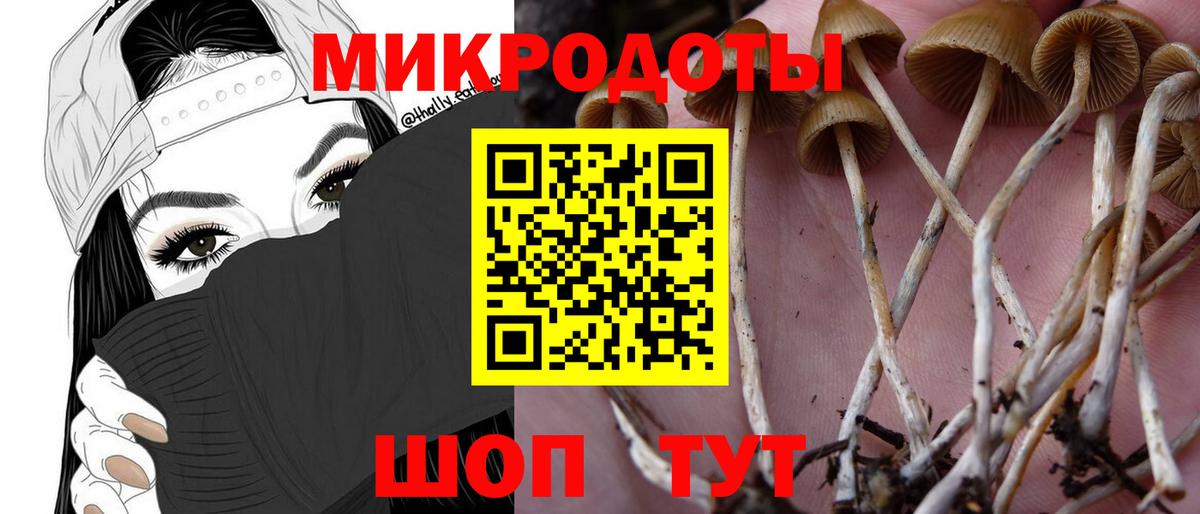 Псилоцибиновые грибы прущие грибы  Вход с VPN  где купить наркоту  Гусев 