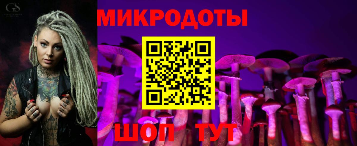 Галлюциногенные грибы MAGIC MUSHROOMS Гусев